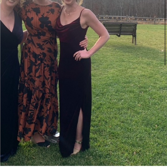 Revelry Skye Velvet Dress - Picture 4 of 4